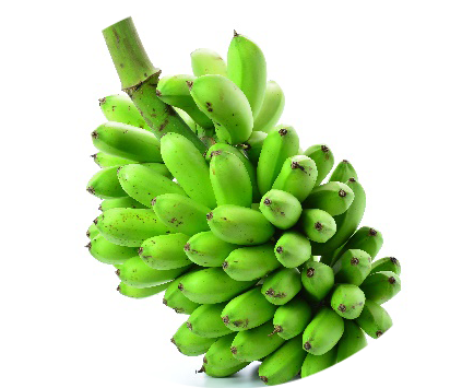 自然素材：バナナマッシュ®-SS