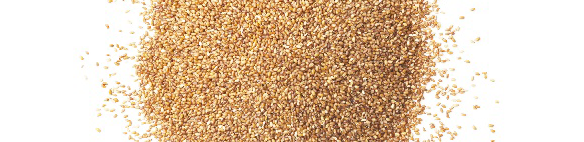 自然素材：世界最小の穀物　テフ