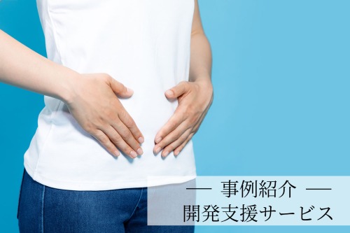開発支援サービス事例～