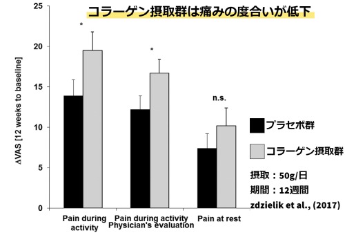 コラーゲンのヒト臨床試験最新エビデンス