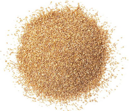 自然素材：世界最小の穀物　テフ
