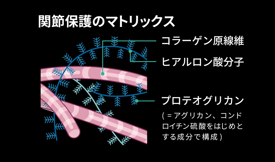 関節保護のマトリックス