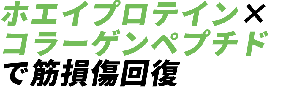 ホエイプロテイン×コラーゲンペプチドで筋損傷回復